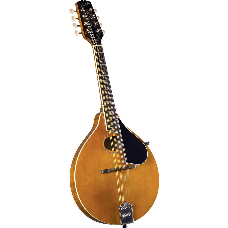 Kentucky Deluxe A Model Mandolin. Amber