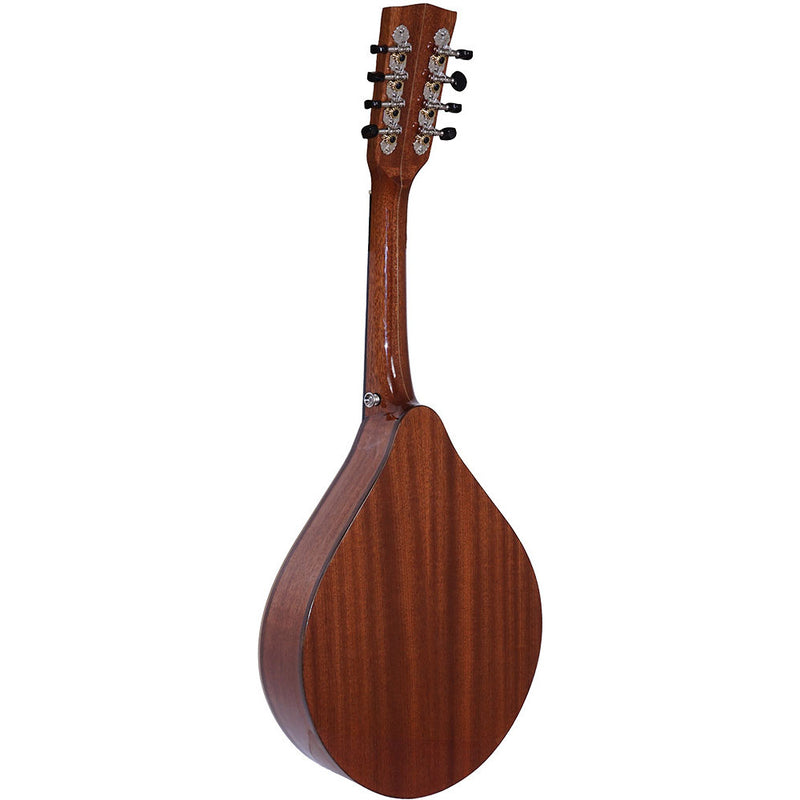 Ashbury Tenor Mandola, Solid Spruce