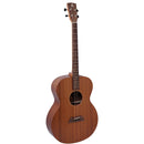 Ashbury Tenor Guitar Solid Sapele GDAE