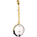 Ashbury Openback 5 String Banjo, Maple
