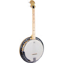 Ashbury Tenor Banjo, 19 Fret, Maple Rim