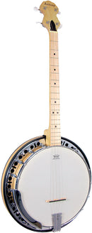 Ashbury Tenor Banjo, 19 Fret, Maple Rim