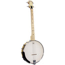 Ashbury Openback Tenor Banjo, Maple Rim