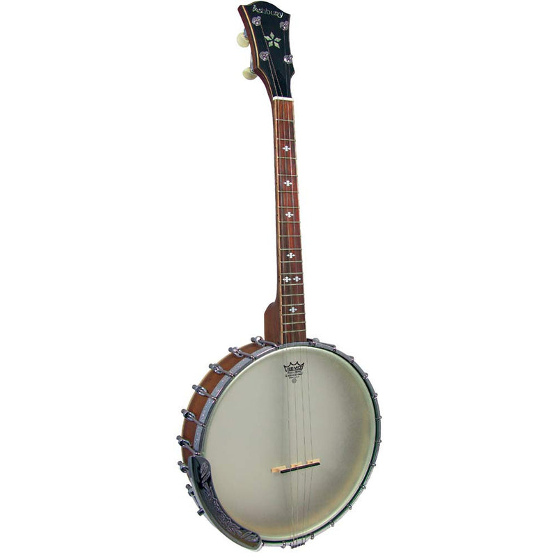 Ashbury Openback Tenor Banjo, 17 Fret