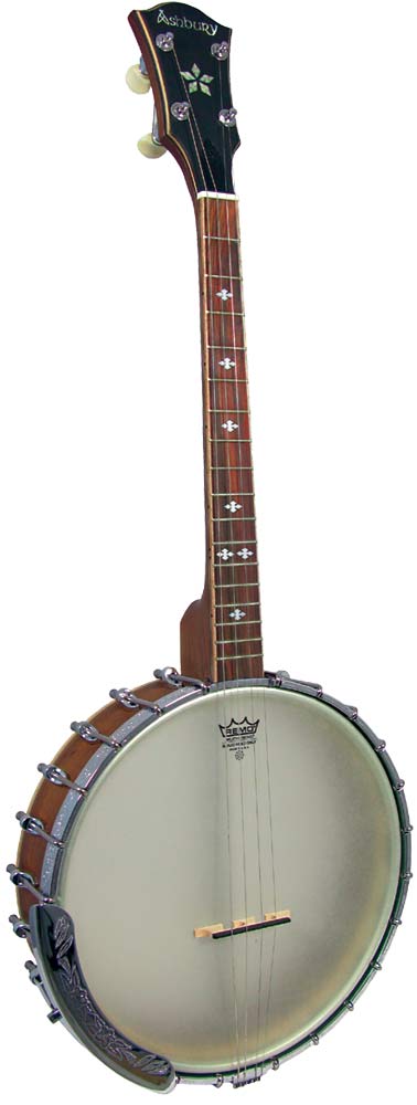 Ashbury Openback Tenor Banjo, 17 Fret