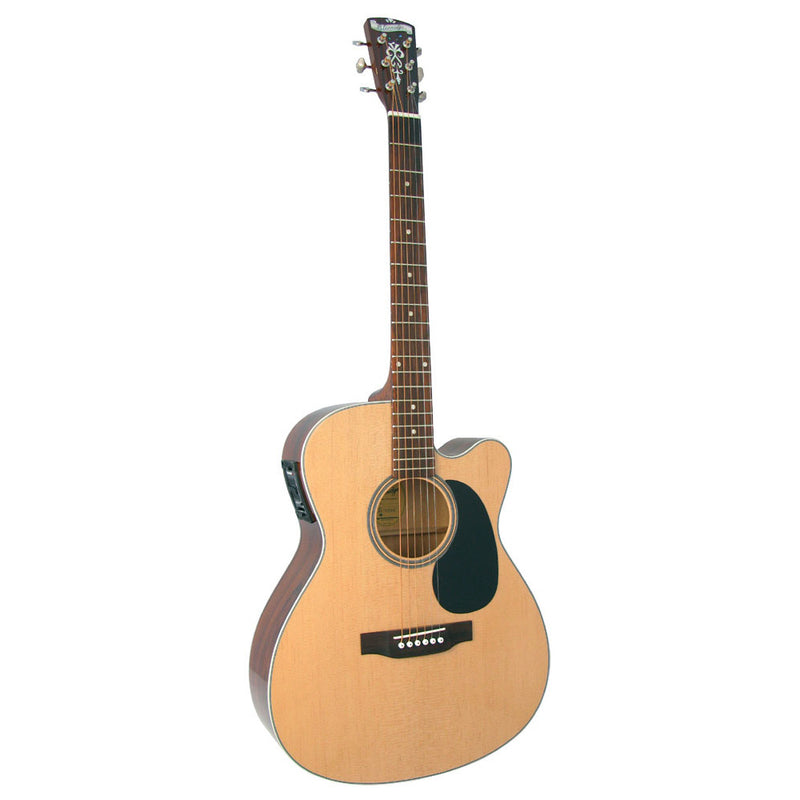 Blueridge - Contemporary Series - 000 Electro-Acoustic Guitar