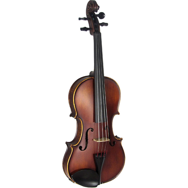 Valentino Full Size Violin Outfit - Flamed Maple Body