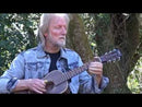 Vintage 'VIATOR' Paul Brett Electro-Acoustic Travel Guitar ~ Antiqued