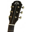 Aria Electro-Acoustic Guitar - MSG-02CE - Brown Sunburst