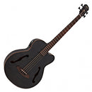 Aria Bass Guitar - FEB F2M - Stained Black