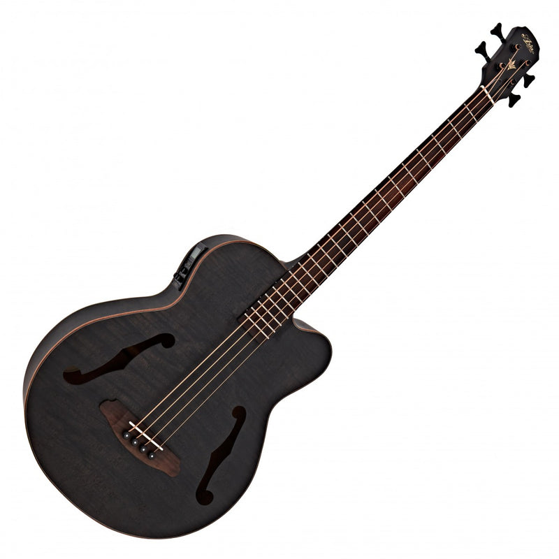 Aria Bass Guitar - FEB F2M - Stained Black