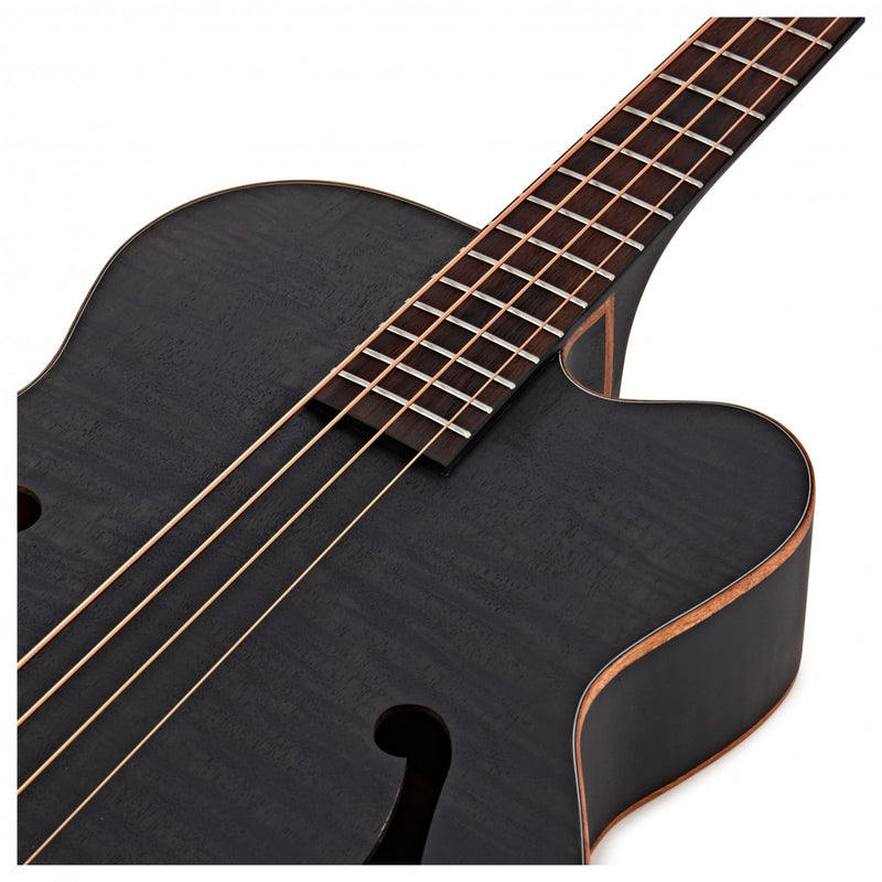 Aria Bass Guitar - FEB F2M - Stained Black